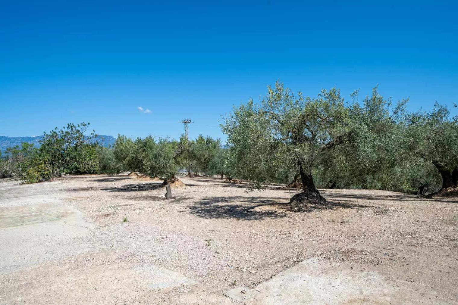 La Caseta Dels Iaios Masdenverge Экстерьер фото